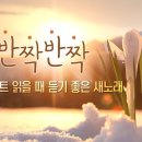 엘로히스트 읽을 때 듣기 좋은 새노래 1. 이미지