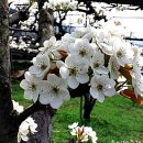 은한농장 이미지