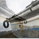 시선이 머무는 곳 이미지