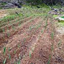 주형농장 이미지