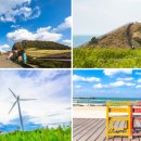 탐라(나동) 이미지