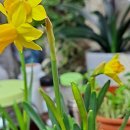 오늘반찬부식 이미지