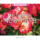 곡성-013 | 부천 백만송이 장미원 장미축제 꽃구경