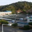 웅상정수장 네이버블로그