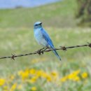 파랑새안경 이미지