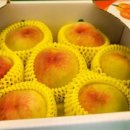 신용농원 이미지