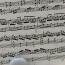 블랙스트링 콘서트 | 룹 이어플러그 스위치2 내돈내산 솔직 후기 | 악기 연습, 일상 생활에서 사용해본 후기