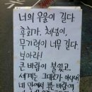 12월