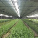 선길농장 이미지