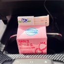 339 이미지