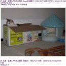 고양이집 이미지