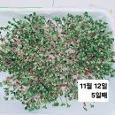 [누리] 무순 카우기 확장 활동＜사랑반＞ 고우리🌱 이미지