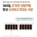 비건 간편식 추천 알록에그 Alokegg 매콤숯불지단김밥 후기