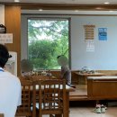 가자골막국수 | 내돈내산 후기 _ 가자골 막국수 이천 장호원 맛집