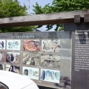 복룡동 시민문화공원 이미지