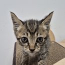 선산중앙로8길-1 이미지