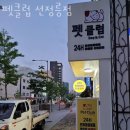 펫클럽샵 이미지