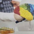 몰입과 진로 이미지