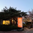 한스플로라 이미지