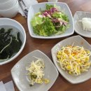 동굴 낙지와 쭈꾸미 이미지