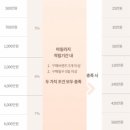 조세핀플라워 | 까르띠에(Cariter): 다무르 목걸이S 구매 후기 (2026년 인상, 할인팁)