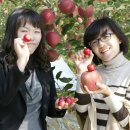 김영제농장 이미지