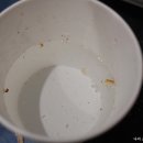 노가리난장판 이미지