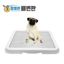 참 이미지