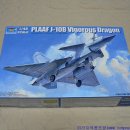 PLAAF J-10B Vigorous Dragon # 02848[1/48 TRUMPETER MADE IN CHINA] PT1 이미지