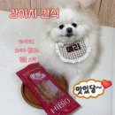 하이비오 이미지