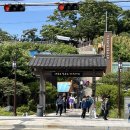 포항여행 | 구룡포 일본인 가옥거리(애견 동반 후기), 포토존, 카페, 소품샵