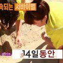 십사일동안 이미지