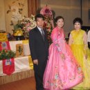 레몬트리 이미지