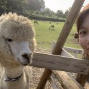 원앙목장 이미지