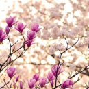 한의원혜민서 이미지