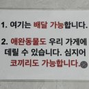 나니아 플스방 이미지