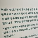 앤더슨미디어 이미지