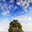시원한 바람