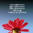 밤에 먹어도 별탈안나는 식품 이미지