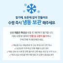 콩사랑마을기업 | 기획💚 4색 송편 만들기 반죽 2kg + 쑥송편 반죽 500g