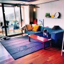 dog tv 사랑 이미지