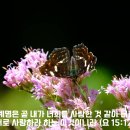 [성경필사] 성령의 바람 _ 2024.08.09 _ 금요일에 주신 말씀 이미지