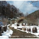 오솔길 농장 이미지