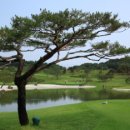 라데나골프클럽1 이미지