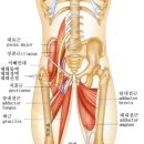 인우한의원 이미지