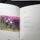 참글문화