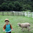 삼중목장 이미지