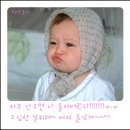 구월팔일 이미지