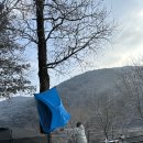 귤암리캠핑장 | 고즈넉한 캠핑장을 원한다면? 귤암리캠핑장