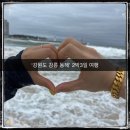 김우정농장 | [강원도 강릉 동해 여행] 강원도 2박3일 여행 강원도 강릉 동해 가볼만한 곳 여름 여행 강원도 바다